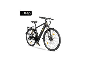 4260186736940 - TMR 7030 Trekking E-Bike schwarz 28 Zoll 3744 Wh