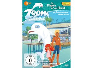 4260193291340 - Zoom - Der weiße Delfin Ein Pinguin auf der Flucht (DVD)