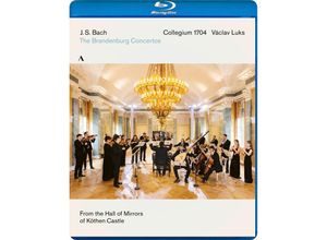 4260234832679 - Brandenburgische Konzerte 1-6 - Václav Luks Collegium 1704 (Blu-ray Disc)