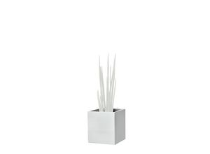 4260267322611 - fm Pflanzkübel Plant Holz lichtgrau rechteckig 380 x 400 cm 4260267322611 - fm Pflanzkübel Plant Holz lichtgrau rechteckig 380 x 400 cm