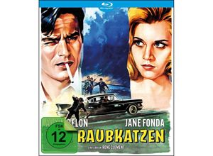 4260267334706 - Wie Raubkatzen (Blu-ray)