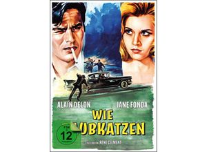 4260267334713 - Wie Raubkatzen (DVD)