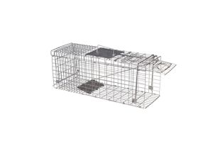 4260277264123 - Live Marten Trap Lebendfalle Funktionsart Lockstoff 1 St