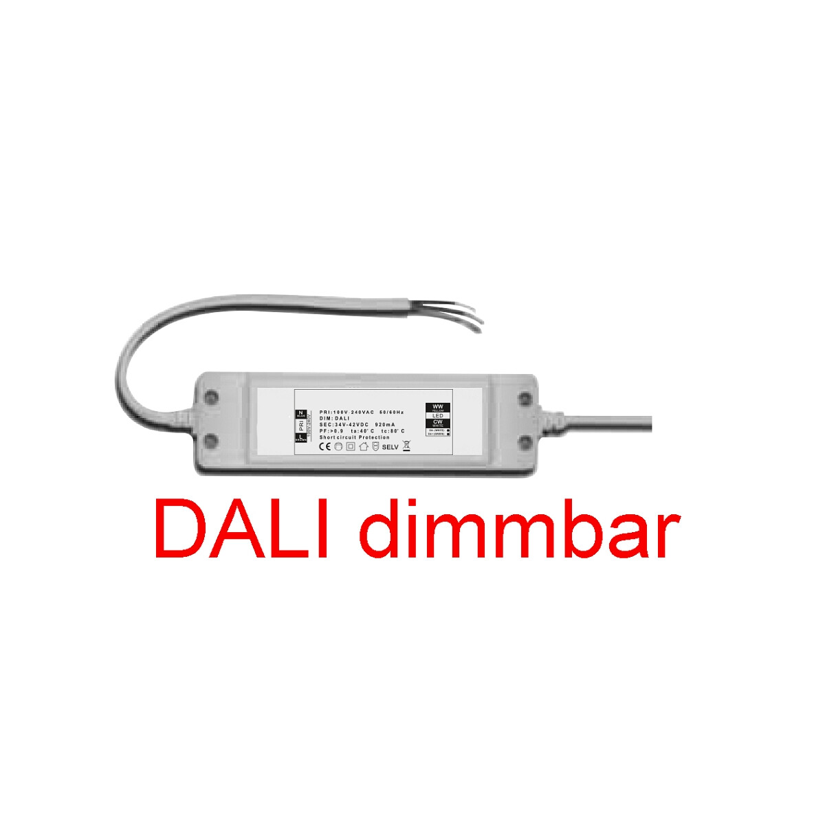 4260293198747 - 48895 - LED Netzteil DALI dimmbar für LED Panel 36 W