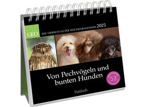 4260308345098 - Postkartenkalender 2025 Von Pechvögeln und bunten Hunden