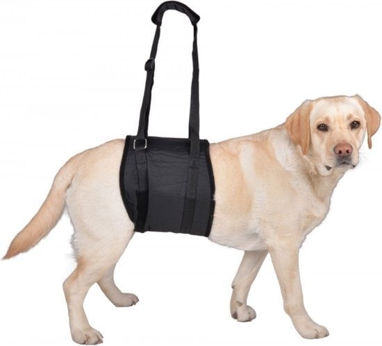 4260358295862 - Hundetrage XL - für Hunde mit einem Gewicht von 35 - 45 kg