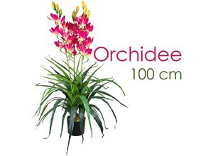 4260360536557 - Künstliche Blumen Orchidee Orchideen Pflanzen Kunstpflanze Kunstblumen Künstlich Pflanze Rosa Pink mit Topf Deko 100 cm Decovego