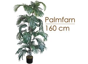 4260360536793 - Künstliche Palme groß Kunstpalme Kunstpflanze Palme künstlich wie echt Plastikpflanze Balkon Farnpalme Palmenfarn Deko 160 cm hoch Decovego