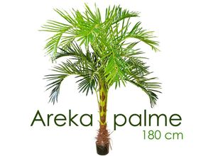 4260360536847 - - Künstliche Palme groß Kunstpalme Kunstpflanze Palme künstlich wie echt Plastikpflanze Arekapalme 180 cm hoch Balkon Deko Dekoration