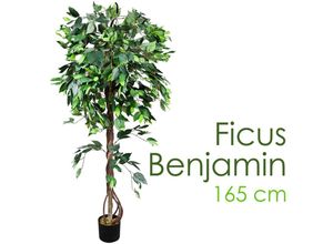 4260360537059 - Kunstpflanze Künstliche Pflanze Benjamin Ficus künstlicher Baum Künstlich im Topf Plastik Pflanzen Zimmerpflanze wie Echt Deko 165 cm Innendekoration