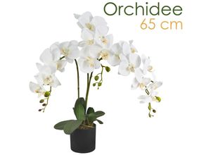 4260360548291 - - Künstliche Blumen Orchidee Orchideen Pflanzen Kunstpflanze Kunstblumen Künstlich Pflanze Weiss Weiß mit Topf Deko 65 cm