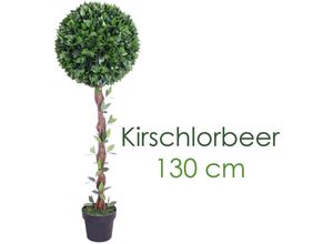 4260360548574 - Kirschlorbeerbaum Kunstpflanze Kunstbaum Künstliche Pflanze 130cm Decovego