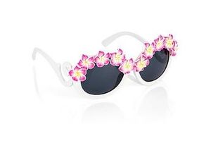 4260362020566 - Brille Hawaii