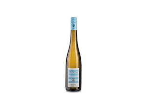 4260368270071 - Wittmann Riesling Trocken 2023 - 75cl