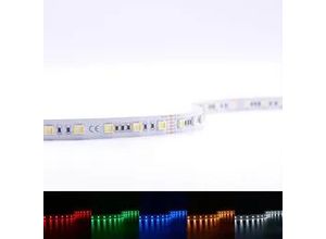 4260385821836 - Strip 24V LED Streifen 5M 18W m 60LED m 12mm - Lichtfarbe RGB+CCT - Schutzart 