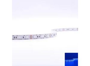 4260385827913 - Strip 12V 5M 144W m 60LED m 10mm - Lichtfarbe Blau - Schutzart IP20