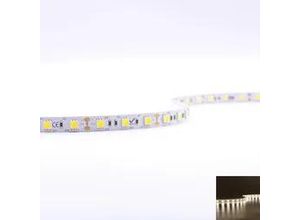 4260385827944 - Strip 12V 5M 144W m 60LED m 10mm - Lichtfarbe Neutralweiß 4000K - Schutzart I