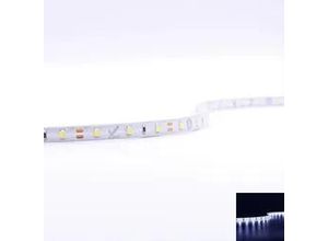 4260385828125 - Strip 12V LED Streifen 5M 48W m 60LED m 8mm - Lichtfarbe Kaltweiß 6000K - Schu