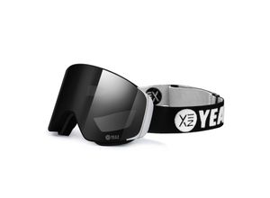 4260405987122 - Magnet-Ski-Snowboardbrille schwarz silber APEX