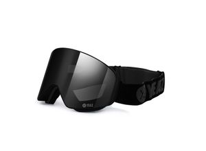 4260405987139 - Magnet-Ski-Snowboardbrille schwarz schwarz APEX