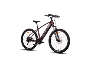 4260416583894 - SAXXX Mountainbike Everest 50 bordeaux matt 44 cm Rahmenhöhe