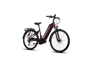 4260416584969 - Quantum Sport Lady 10 Gang Bafang Mittelmotor Scheibenbremsen