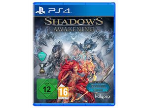 4260458360552 - Shadows Awakening (PS4)