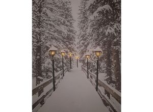 4260461475243 - Spetebo - led Wandbild 50x40 cm - Winterlandschaft mit 6 LED´s - Leinwand beleuchtet Leucht Bild