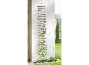 4260475572365 - Dekoleidenschaft - Dekogitter Strickleiter aus Reisig & Hanf 25x150 cm Rankhilfe für die Hauswand Kletterhilfe Gartendeko Dekoleiter