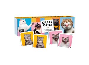 4260478342248 - Memo-Spiel Crazy cats!