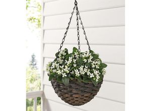 4260482662936 - Dekoleidenschaft - Pflanzenampel aus Polyrattan braun ø 25 cm Blumenampel für Drinnen & Draußen Hängeampel für Balkon & Garten Hängeblumentopf