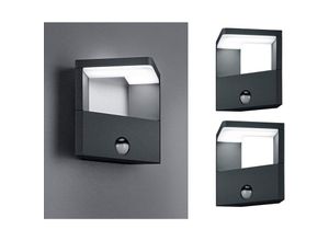 4260492250581 - Trio Leuchten - led Außenwandleuchte mit Bewegungsmelder Anthrazit - 2er set für Hausbeleuchtung