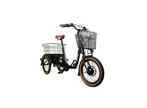 4260499853082 - MINNA Falt E-Trike Tiefeinsteiger