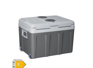 4260565528029 - Elektrische Kühlbox 40 Liter 12 v   230 v für Auto Lkw Reisemobil Camping - Mini Kühlschrank kalt & warm - thermoelektrische Box - Grau - Juskys