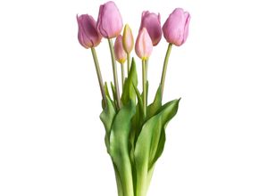 4260600491950 - Kunstpflanze MY HOME Maiva Kunstpflanzen Gr B H 20 cm x 47 cm 7 St lila (mauve) Künstliche Zimmerpflanzen Tulpenbündel im 7er-Set 4260600491950 - Kunstpflanze MY HOME Maiva Kunstpflanzen Gr B H 20 cm x 47 cm 7 St lila (mauve) Künstliche Zimmerpflanzen Tulpenbündel im 7er-Set