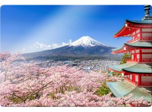 4260600520568 - Glasbild WALL-ART Mount Fuji Bilder Gr B H T 80 cm x 60 cm x 04 cm Sonnenuntergang bunt Glasbilder Glasposter modern