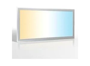 4260601130070 - LED Panel 60x30cm 24W Rahmen silbern - Lichtfarbe CCT 3000K-6000K