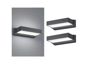 4260618144206 - Trio Leuchten - Moderne led Außenwandleuchte Anthrazit IP65 - 2er set für Fassadenbeleuchtung