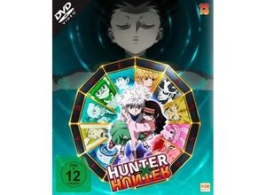 4260623481310 - Hunter x Hunter Vol 13 (DVD)