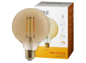 4260623717044 - Smartes ZigBee LED Leuchtmittel E27 amber tunable white Globe - G95 7W 650 Lumen 1er-Pack - transparent