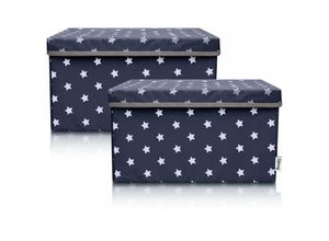 4260648331287 - 2-Set Aufbewahrungsbox Kinder (37x25x21cm) i Aufbewahrungskorb für Kinderzimmer und Wohnbereich i Kinder Aufbewahrungskiste (Anthrazit Stern)-833128