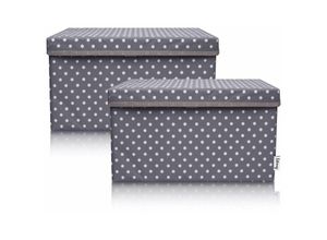 4260648331461 - Lifeney - 2-Set Aufbewahrungsbox Kinder (37x25x21cm) i Aufbewahrungskorb für Kinderzimmer und Wohnbereich i Kinder Aufbewahrungskiste (Dunkelgrau