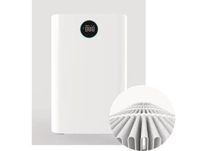 4260663510537 - BOLD 10711 Sander Ersatz-Filter 43 m² Weiß