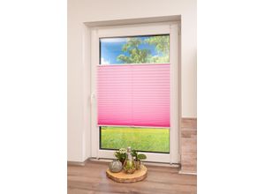 4260685140644 - Plissee K-HOME Klemmfix Pisa Gr 2 pink B50cm H130cm Obermaterial 100% Polyester Plissees Crushed-Optik