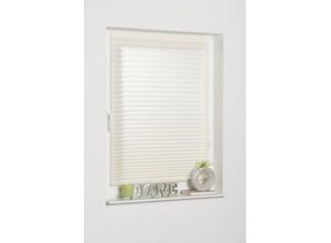 4260685142839 - K-HOME Plissee »COMO« Lichtschutz freihängend