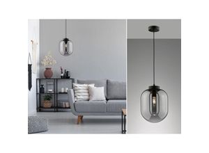 4260688158905 - Meinewunschleuchte - led Pendelleuchte Industrial einflammig Rauchglas - Glaskugel ø 25cm