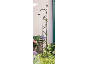 4260693425955 - Dekoleidenschaft - Rankgitter Lilie aus Metall 151 cm hoch Gartenstecker in Antik Optik mit Laternenhaken Rankhilfe Gartendeko für Draußen