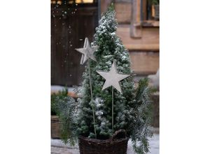 4260693426129 - Dekoleidenschaft - 2x Gartenstecker Stern aus Alu silber 82 + 106 cm hoch Weihnachtsdeko Adventsdeko Gartendeko für Draußen