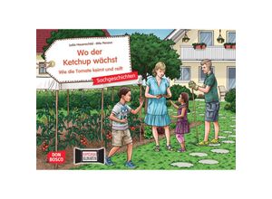 4260694920275 - Sachgeschichten für unser Erzähltheater   Wo der Ketchup wächst Wie die Tomate keimt und reift Kamishibai Bildkartenset - Lydia Hauenschild Box