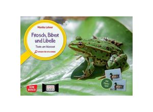 4260694920756 - Wissen für Kita-Kinder Fotobildkarten für unser Erzähltheater Kamishibai   Frosch Biber und Libelle Tiere am Wasser Kamishibai Bildkarten und Memo-Spiel - Monika Lehner Box